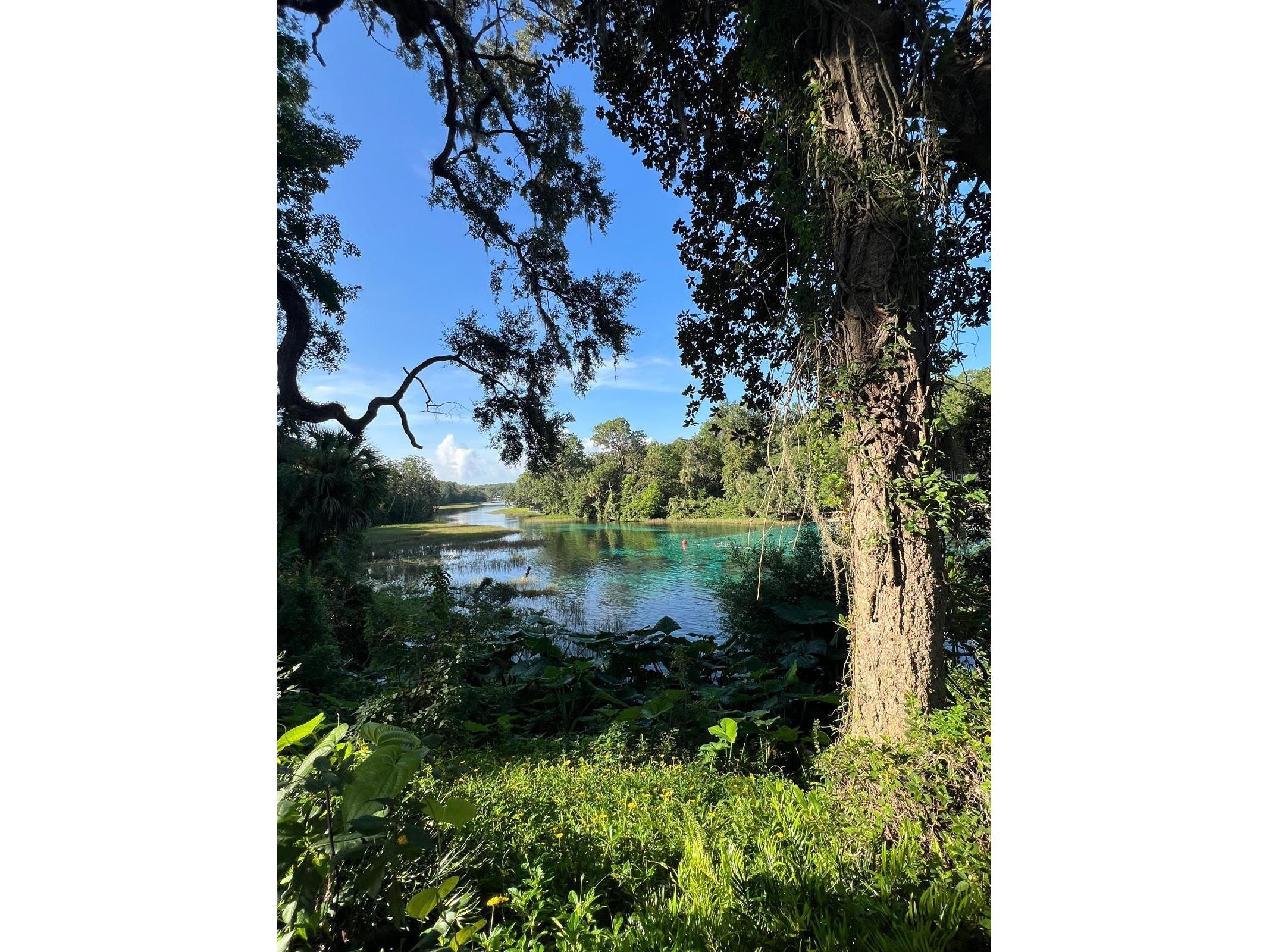 0000 SW Rainelle Road Dunnellon FL 34431 OM721548 image14