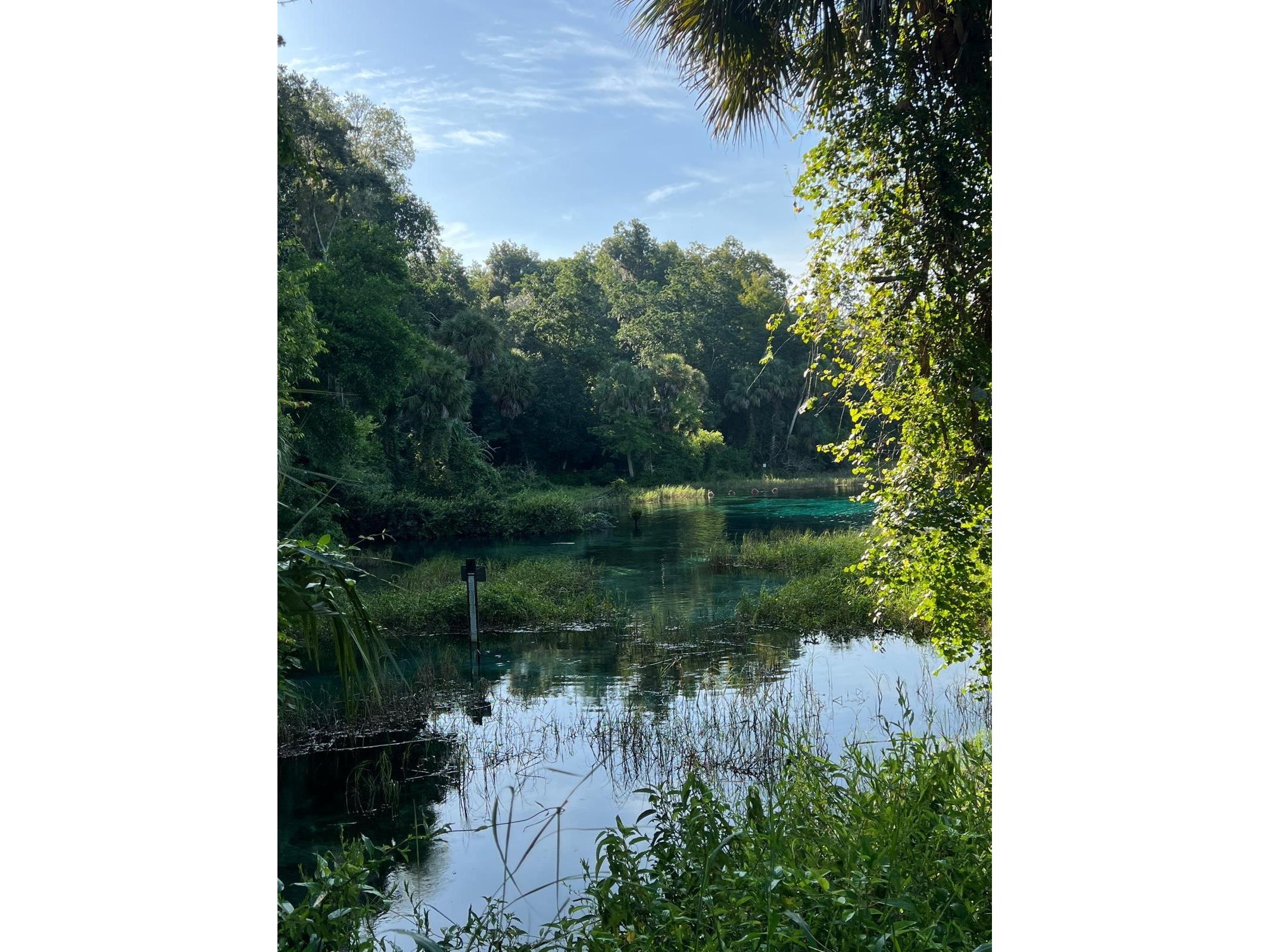 0000 SW Rainelle Road Dunnellon FL 34431 OM721548 image15