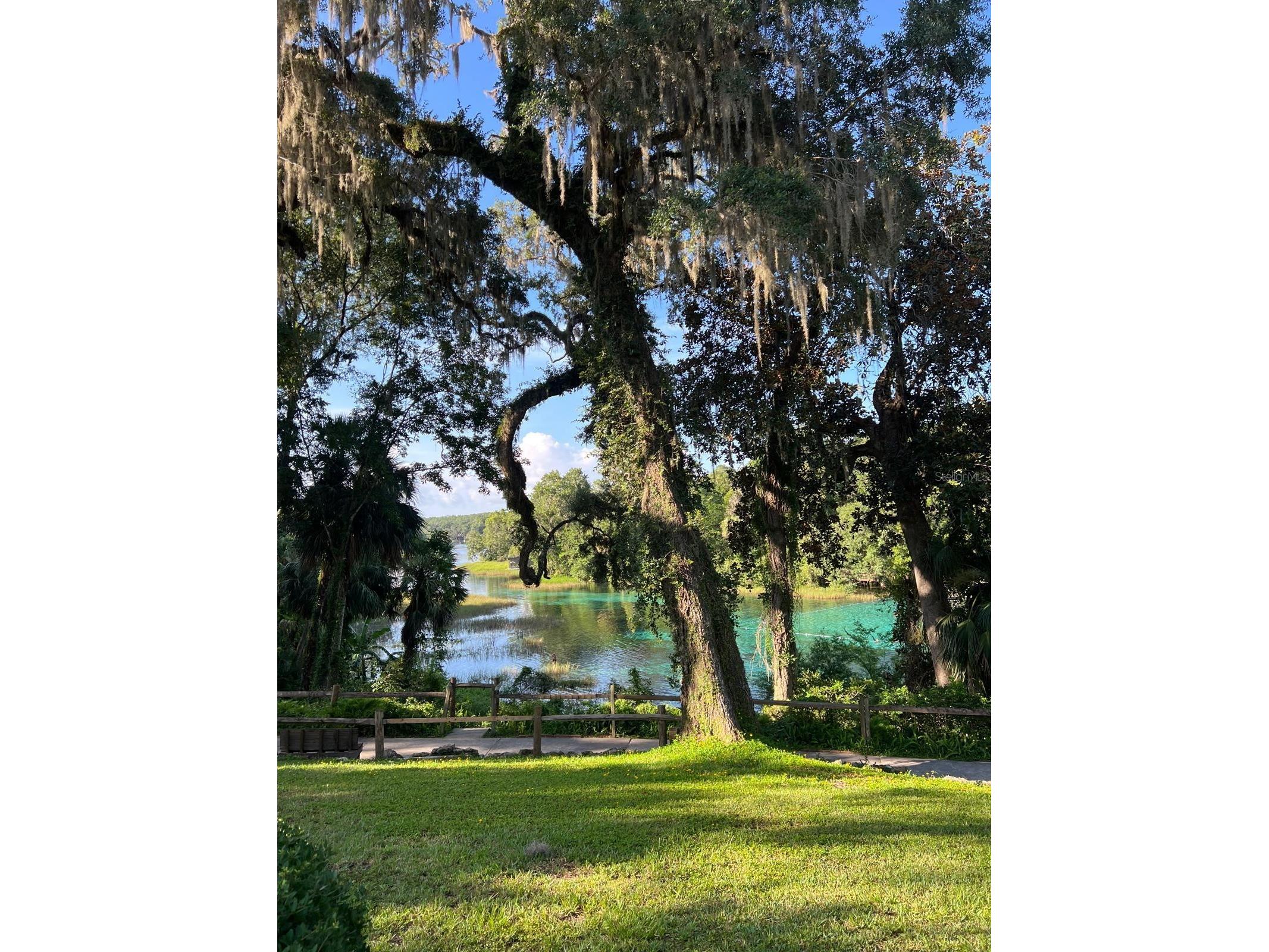 0000 SW Rainelle Road Dunnellon FL 34431 OM721548 image16