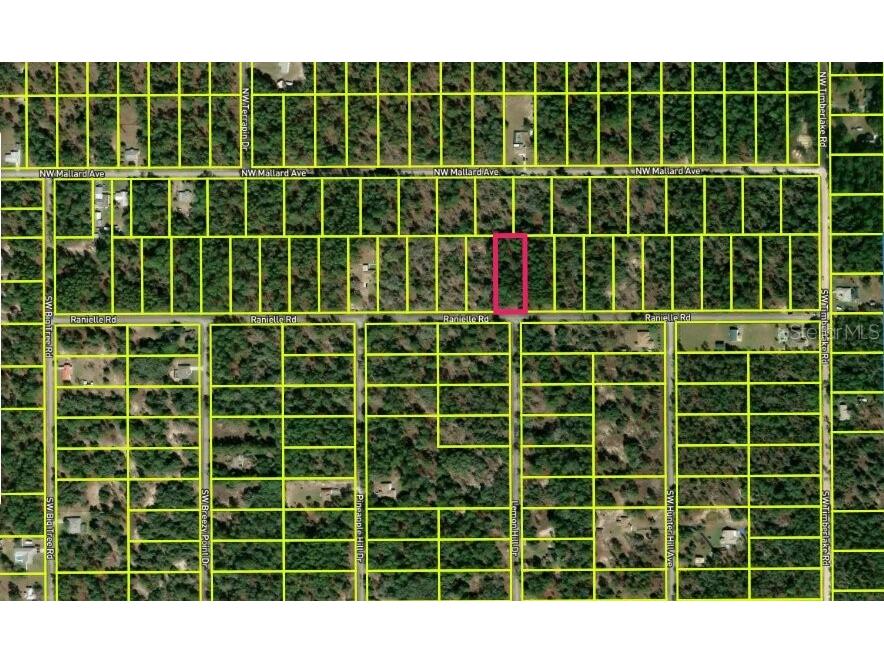 0000 SW Rainelle Road Dunnellon FL 34431 OM721548 image2