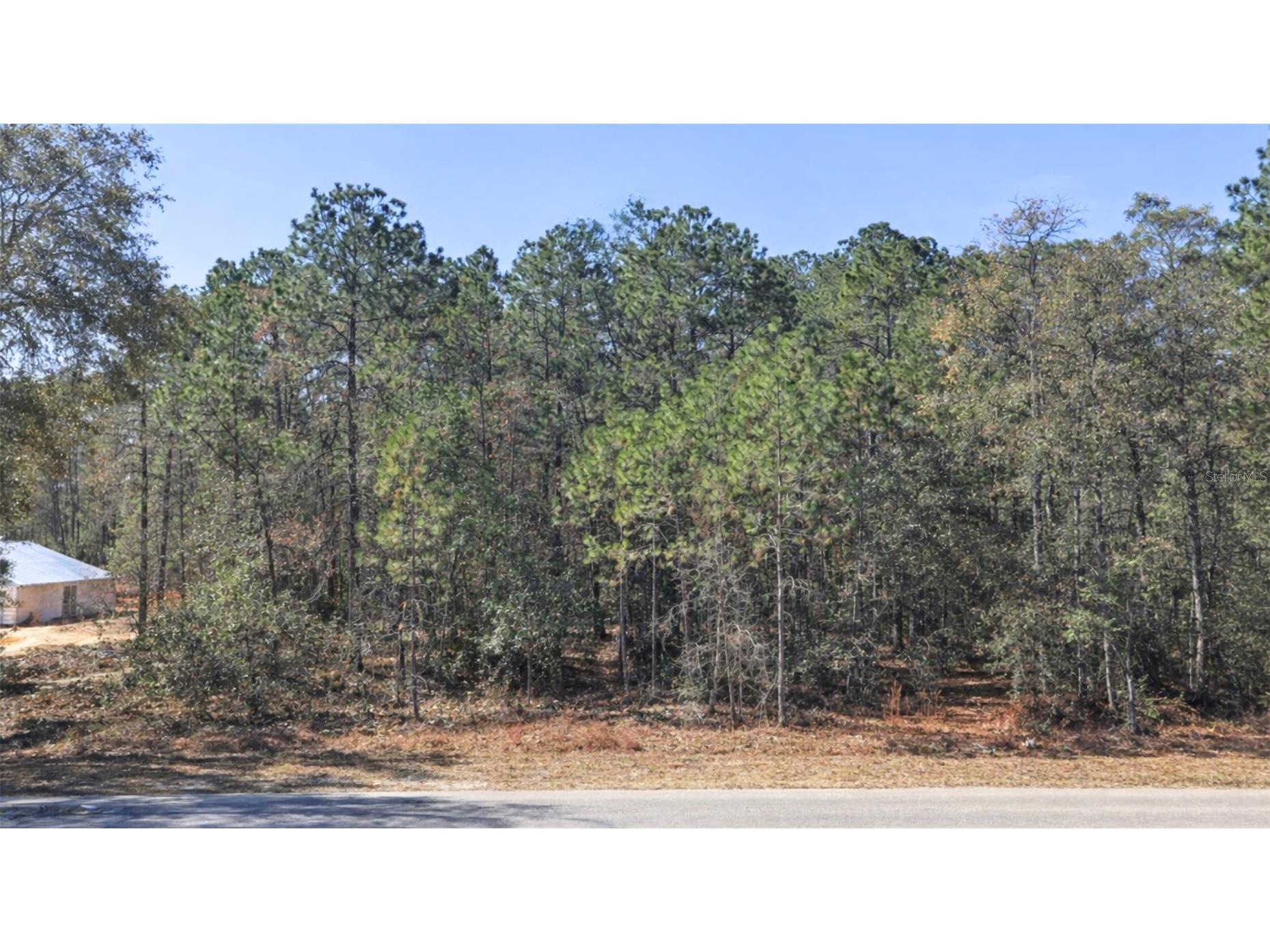 0000 SW Rainelle Road Dunnellon FL 34431 OM721548 image3