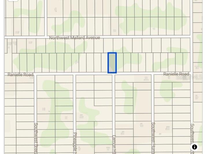 0000 SW Rainelle Road Dunnellon FL 34431 OM721548 image4