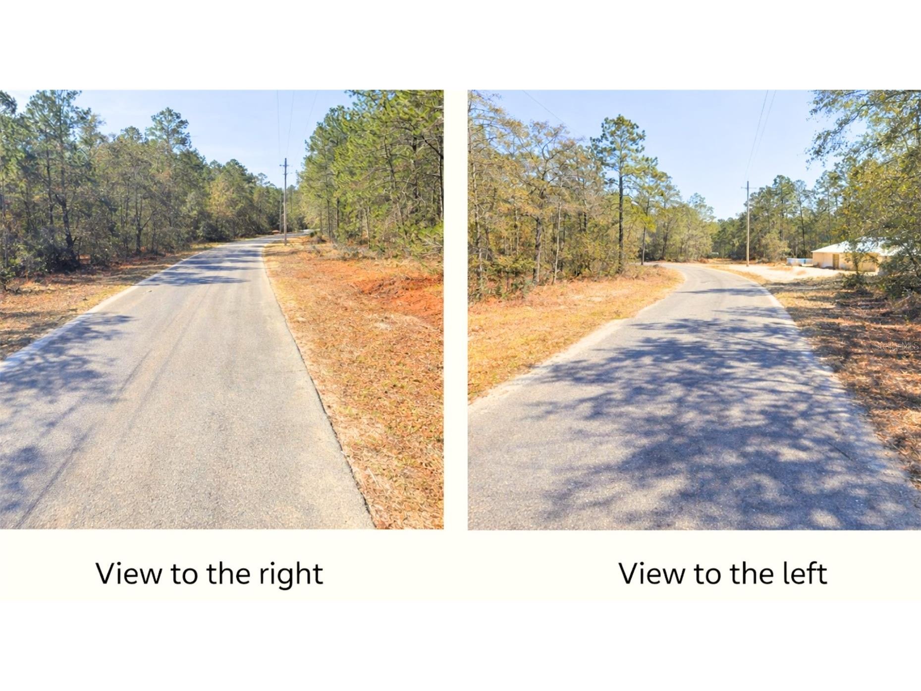 0000 SW Rainelle Road Dunnellon FL 34431 OM721548 image5