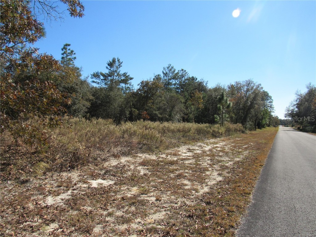 0000 SW Sands Point Ave Lot 38 Dunnellon FL 34431 OM706866 image1