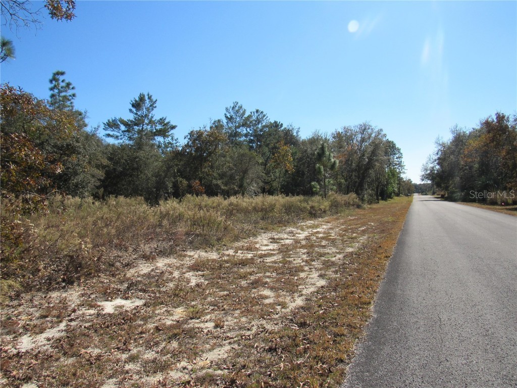 0000 SW Sands Point Ave Lot 38 Dunnellon FL 34431 OM706866 image2