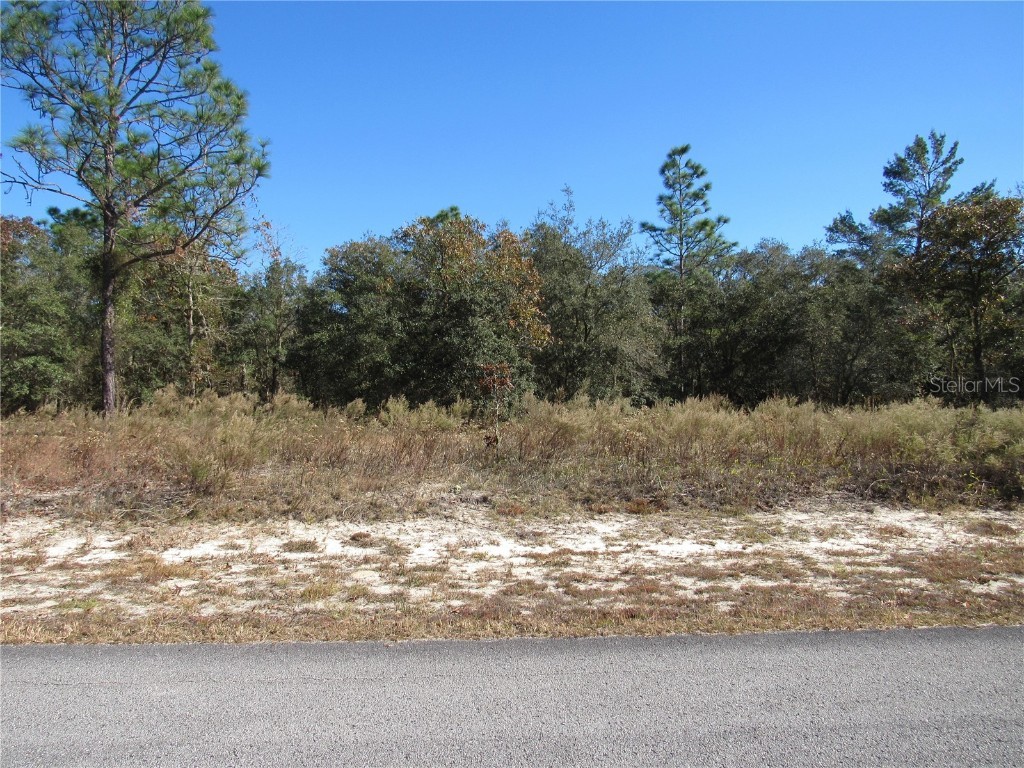 0000 SW Sands Point Ave Lot 38 Dunnellon FL 34431 OM706866 image3