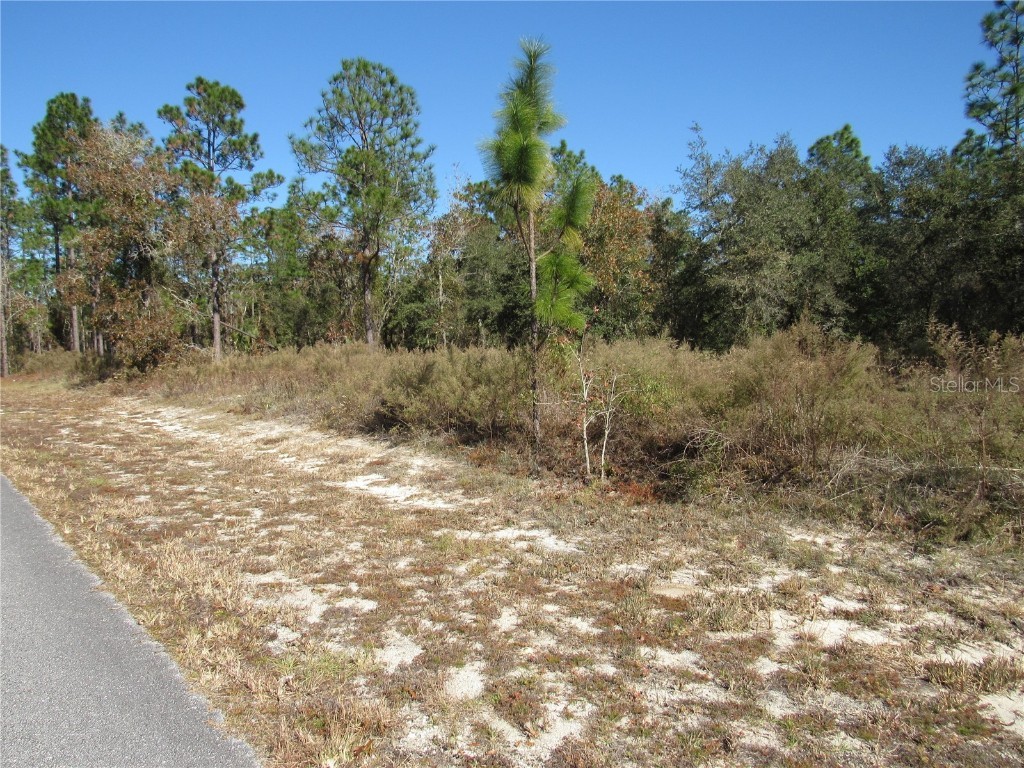 0000 SW Sands Point Ave Lot 38 Dunnellon FL 34431 OM706866 image4