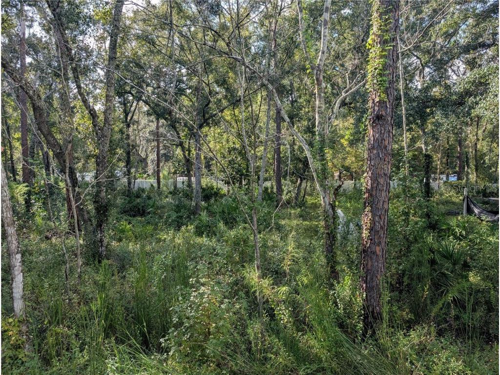 0000 Tulane Street New Port Richey FL 34653 TB8436894 image3