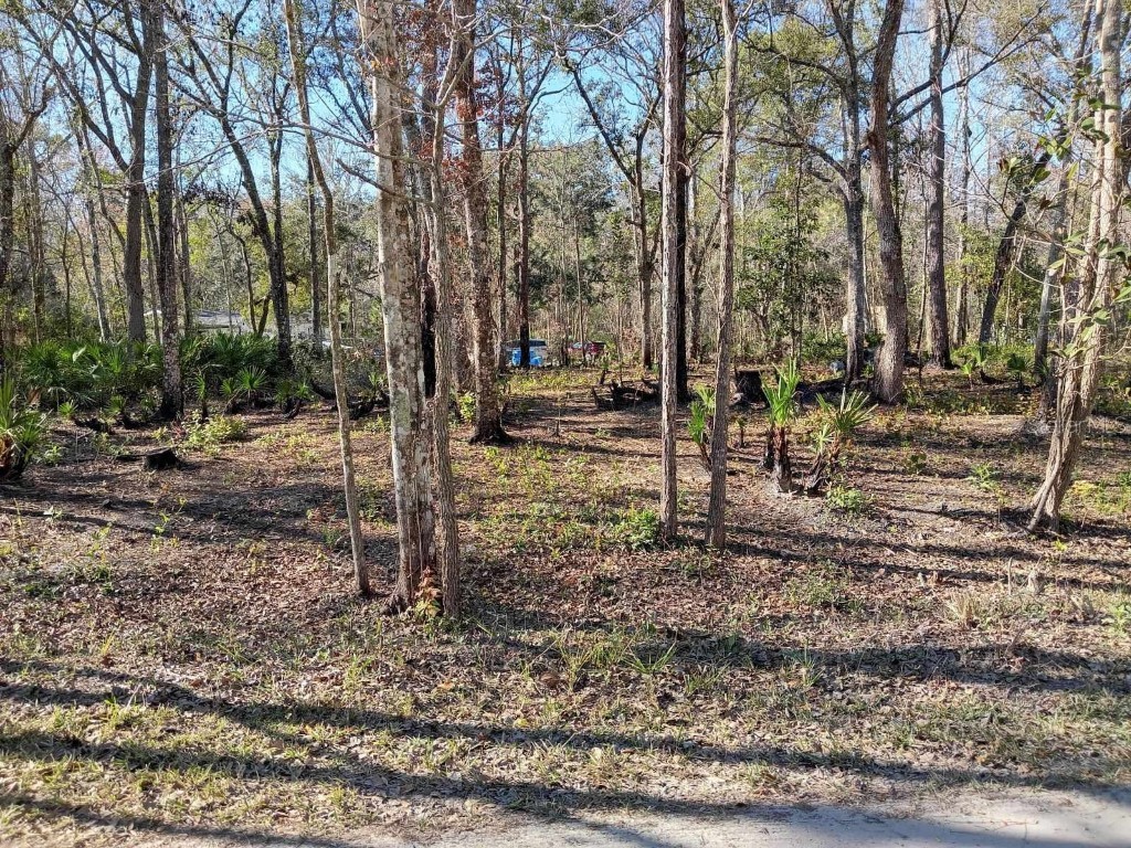 0000 Tulane Street New Port Richey FL 34653 TB8436894 image4