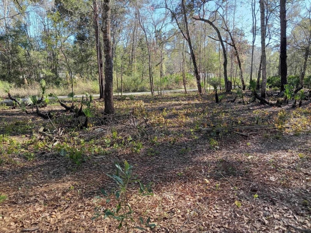 0000 Tulane Street New Port Richey FL 34653 TB8436894 image5