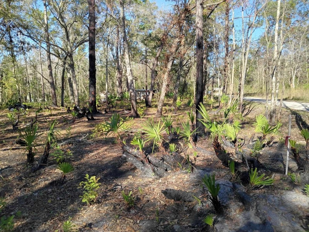 0000 Tulane Street New Port Richey FL 34653 TB8436894 image6