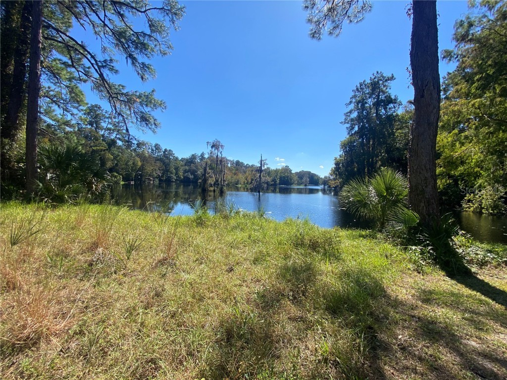 00000 Cherokee Circle Dunnellon FL 34431 - WITHLACOOCHEE OM648050 image1