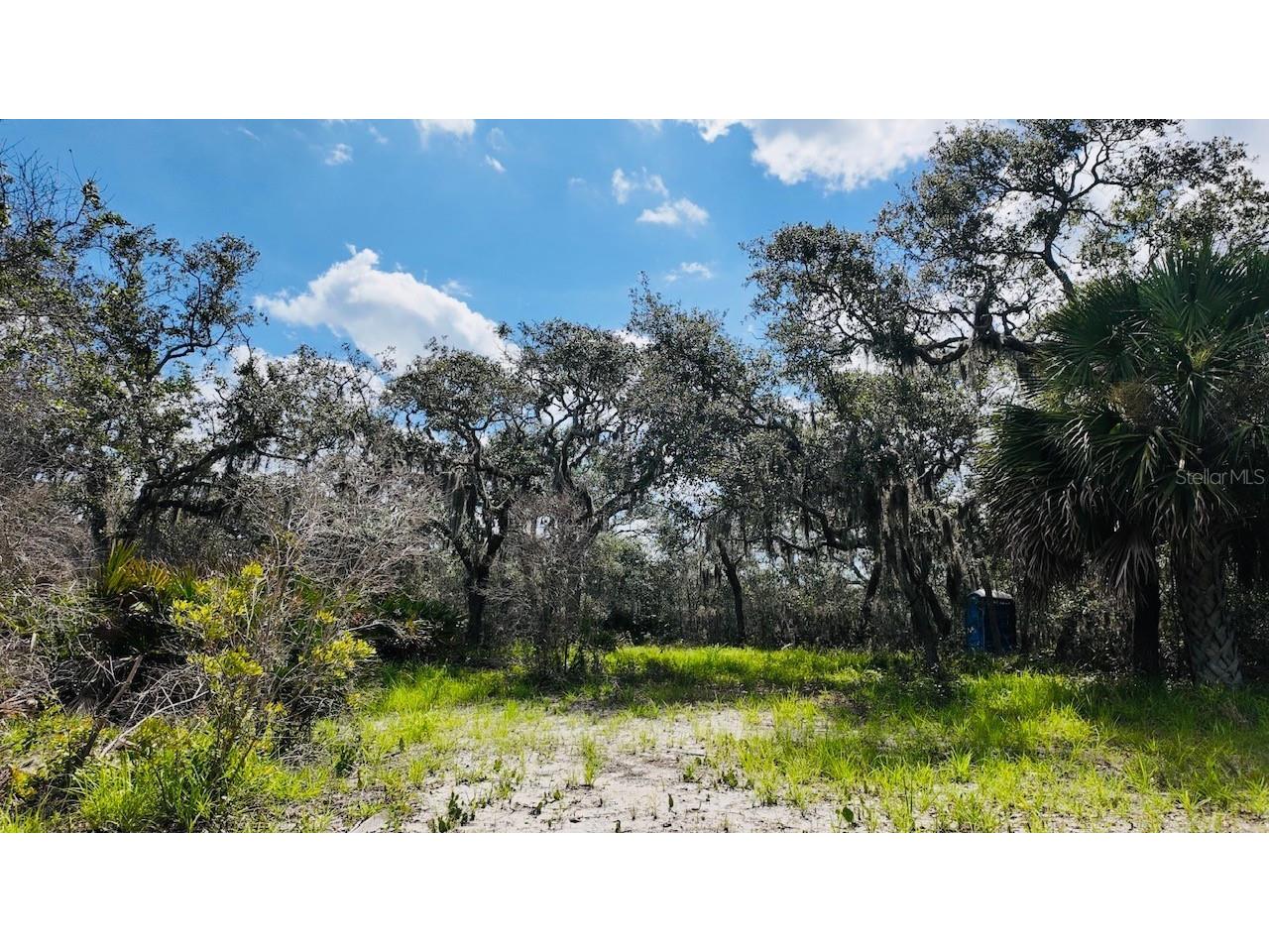 00000 Clark Island Cedar Key FL 32625 OM679906 image21