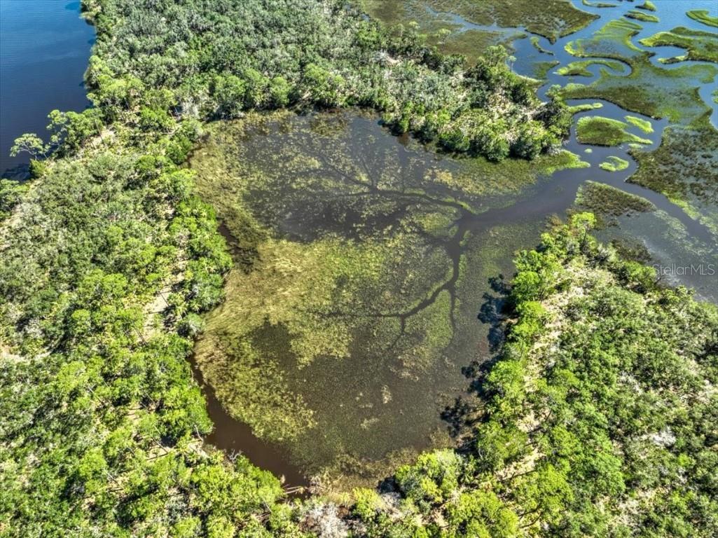 00000 Clark Island Cedar Key FL 32625 OM679906 image4