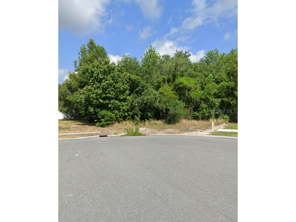 00000 Feltner Court Hudson FL 34667 W7879975 image1