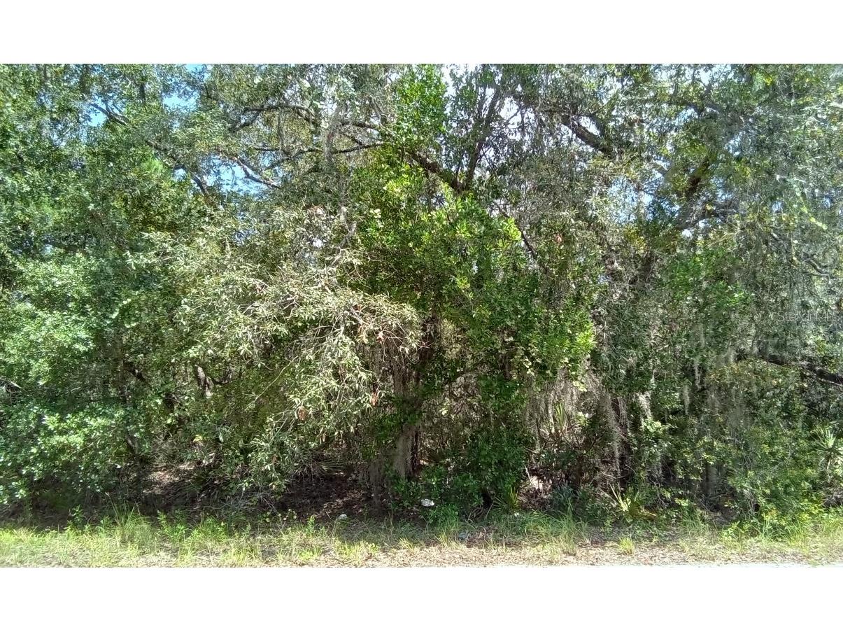 00000 Olive Way Ocala FL 34472 O6150129 image1