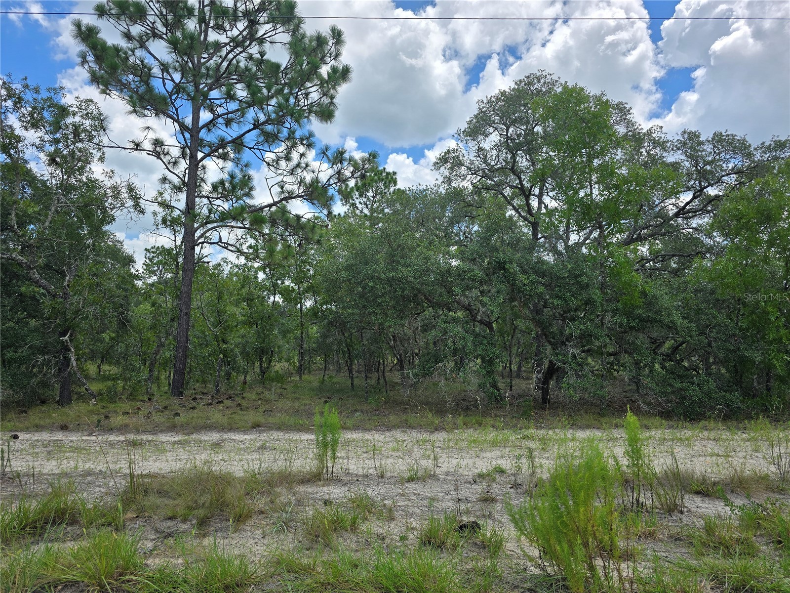 00000 Se 130th Ave Dunnellon FL 34431 G5115427 image5