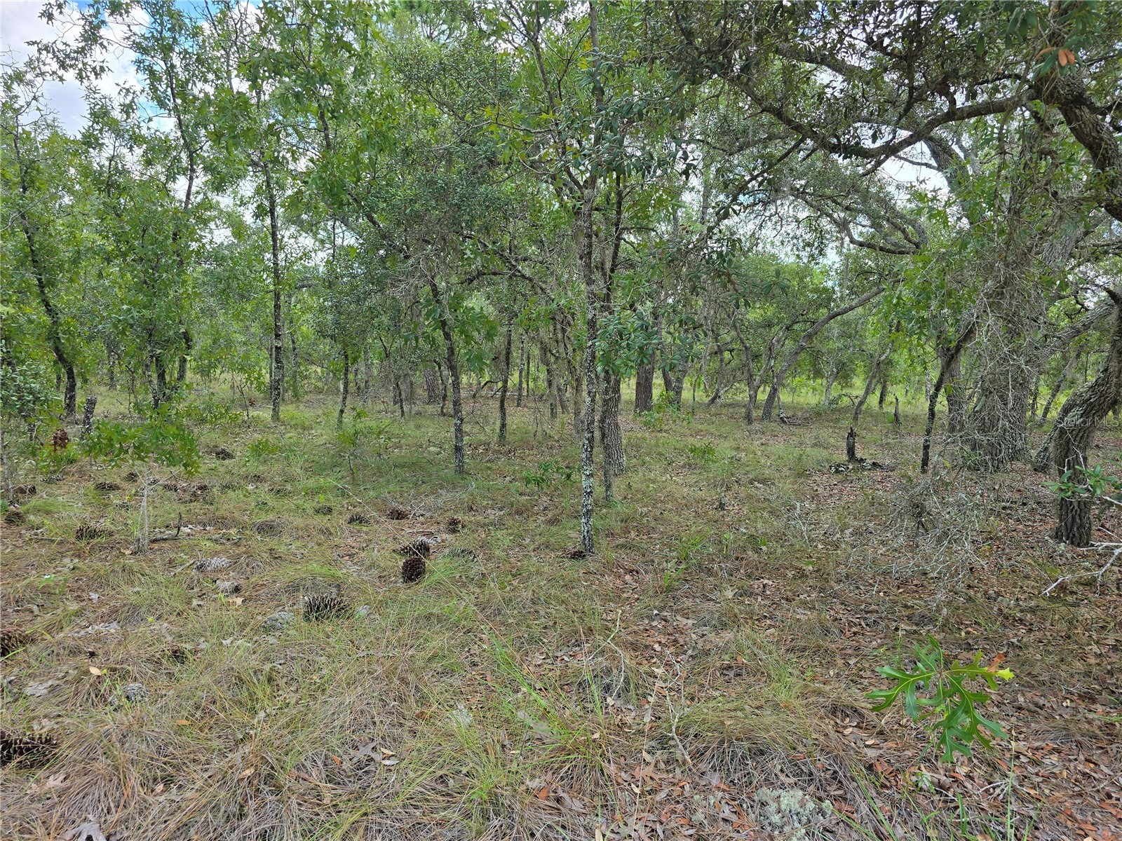 00000 Se 130th Ave Dunnellon FL 34431 G5115427 image6