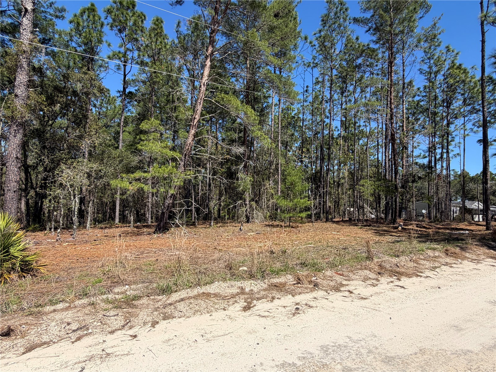 00000 SE 58th Place Morriston FL 32668 W7884090 image3