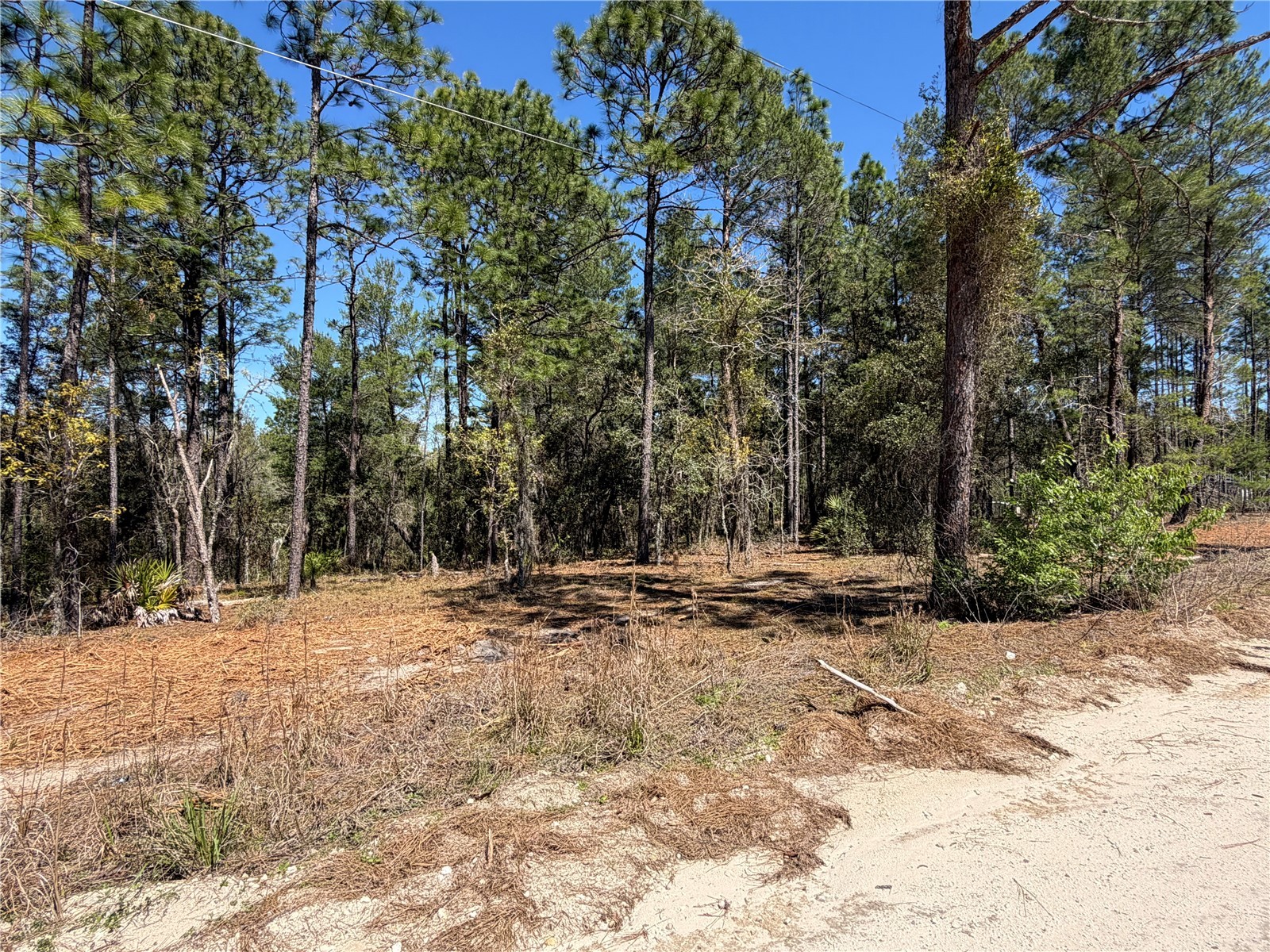 00000 SE 58th Place Morriston FL 32668 W7884090 image5