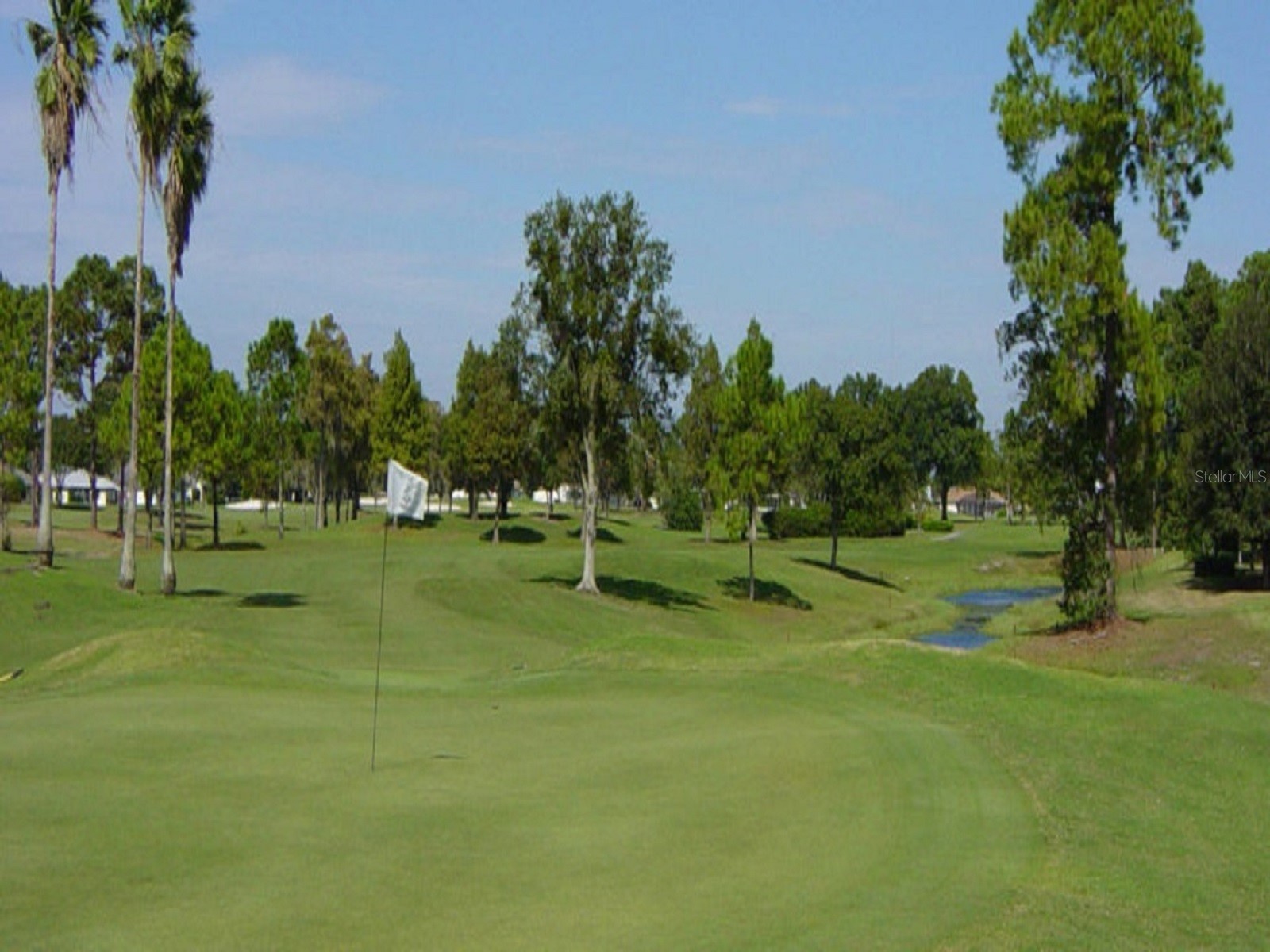 00000 Sheldon Street Orlando FL 32833 O6307581 image7