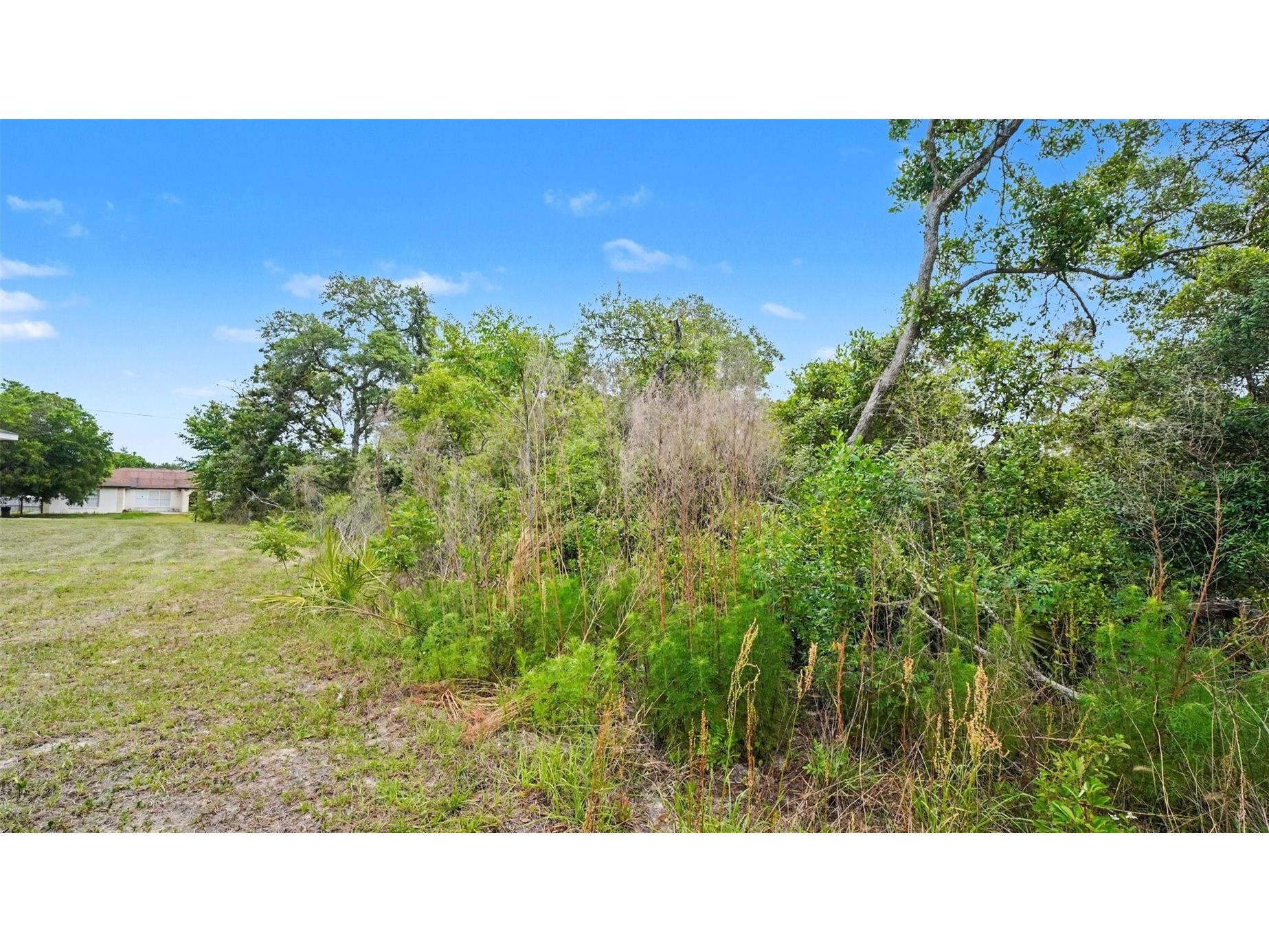 00000 SW 23rd Avenue Road Ocala FL 34473 O6394623 image7