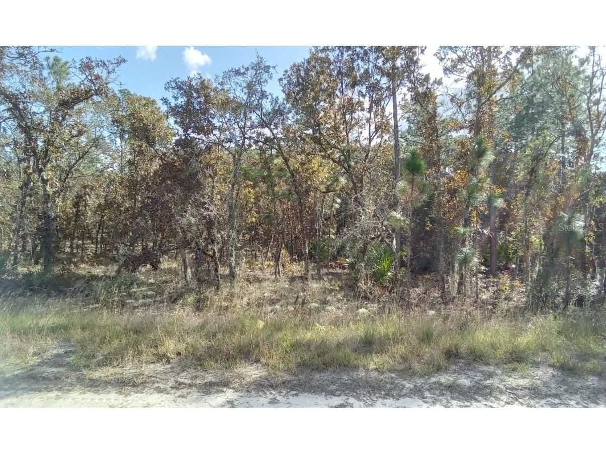 00000 Sw 95th Place Dunnellon FL 34432 O6165337 image1