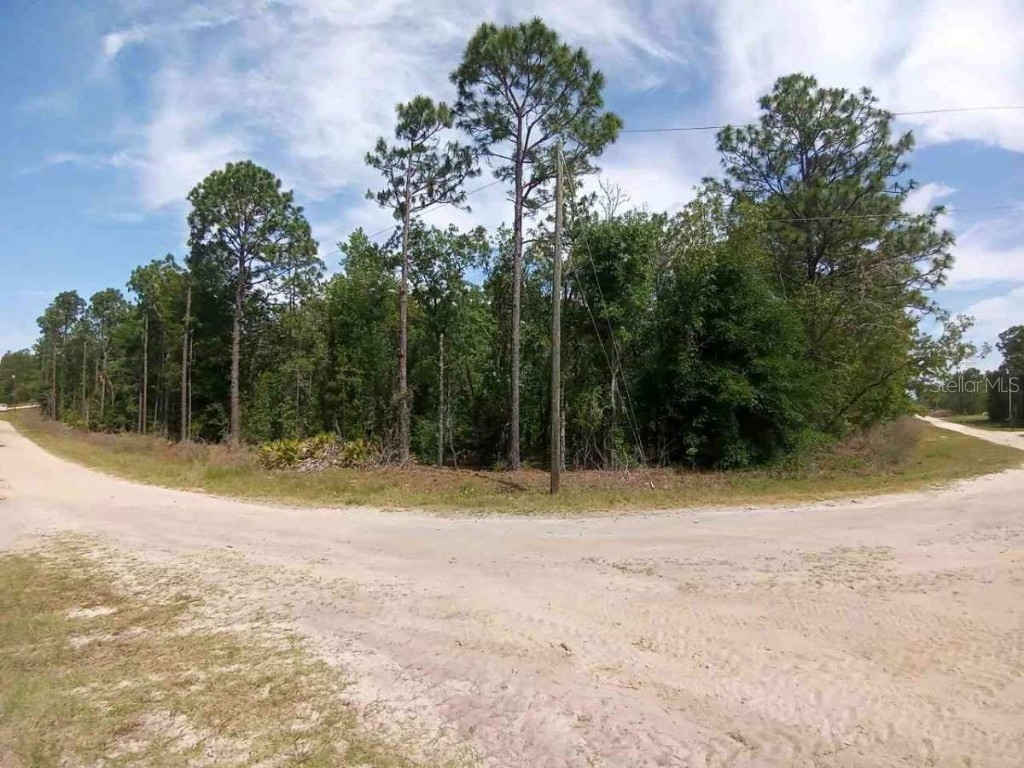 00000 SW 99th Ln. Dunnellon FL 34432 OM677635 image1
