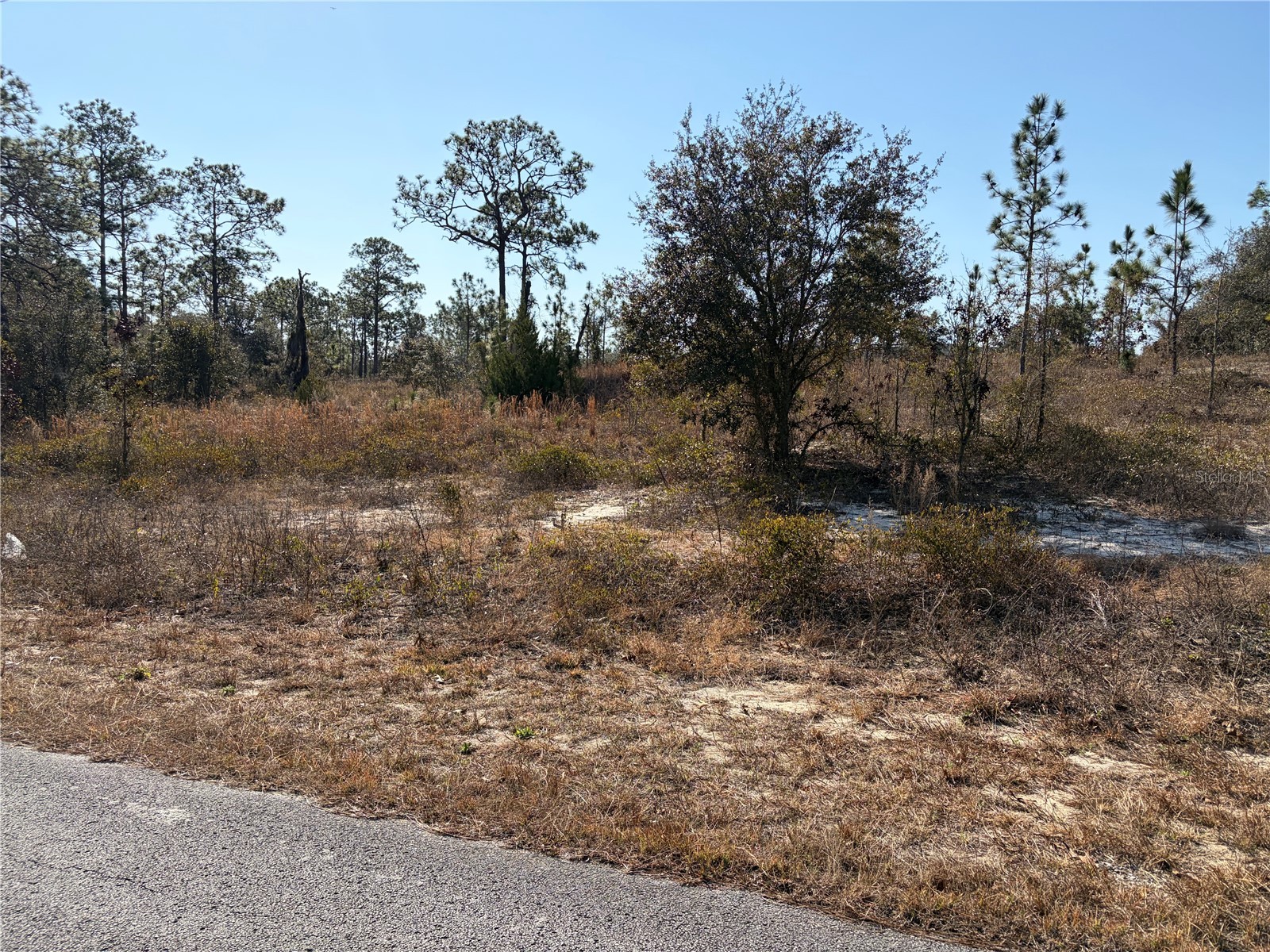 00000 SW Nautilus Boulevard Dunnellon FL 34431 OM719039 image1