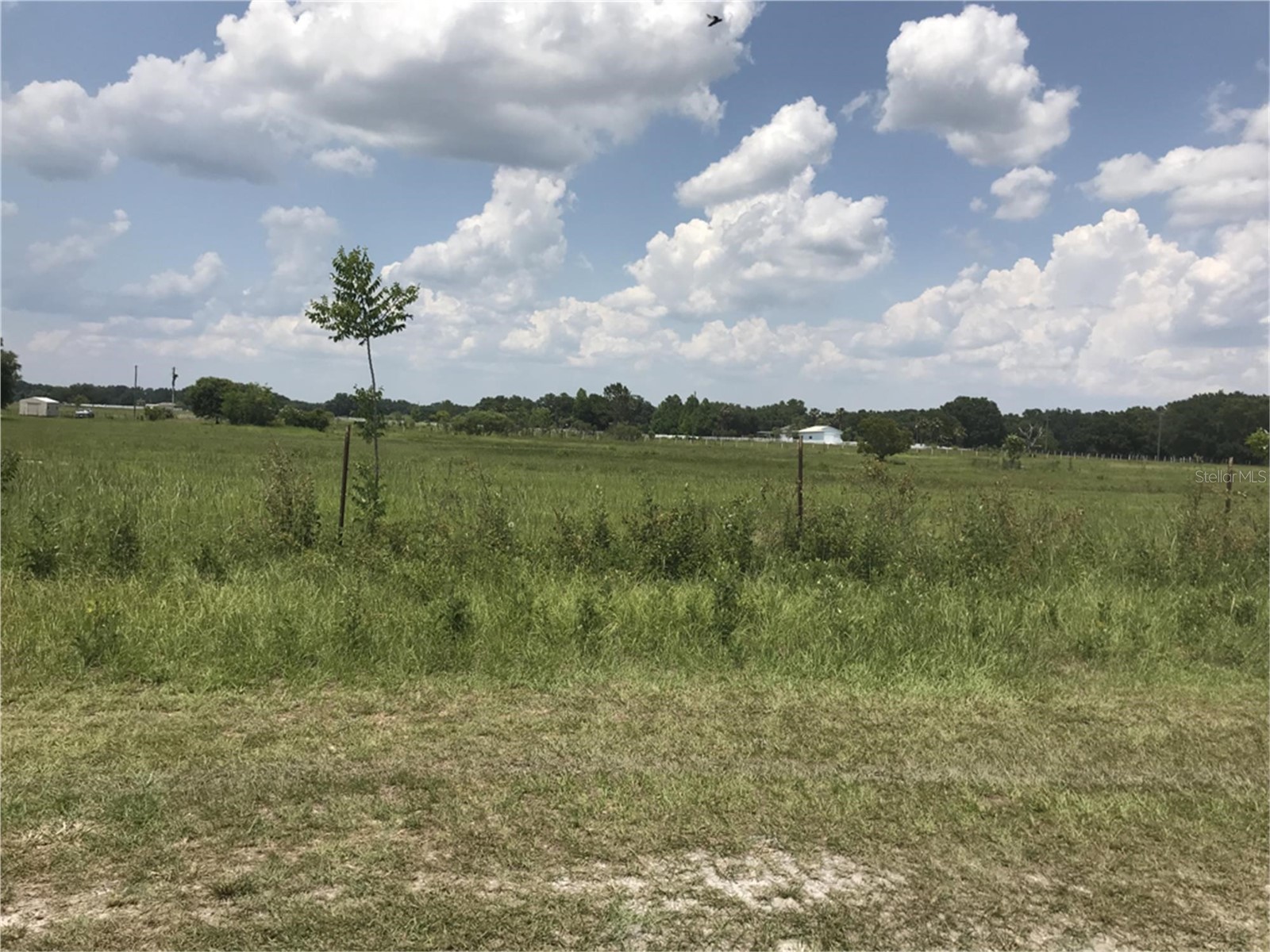 000000- CR 614a Bushnell FL 33513 G5109168 image3