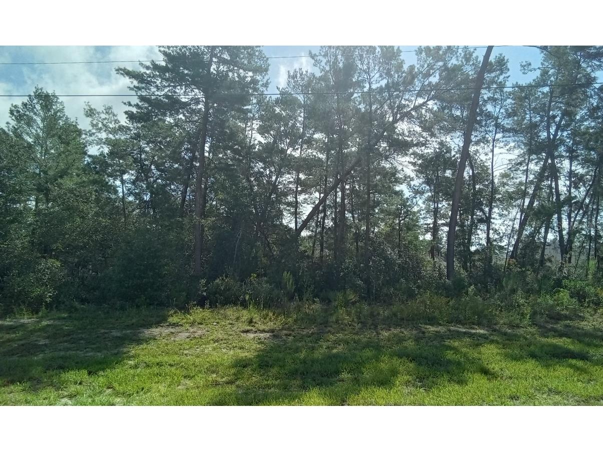 000000 Marion Oaks Ln Ocala FL 34473 O6159217 image1