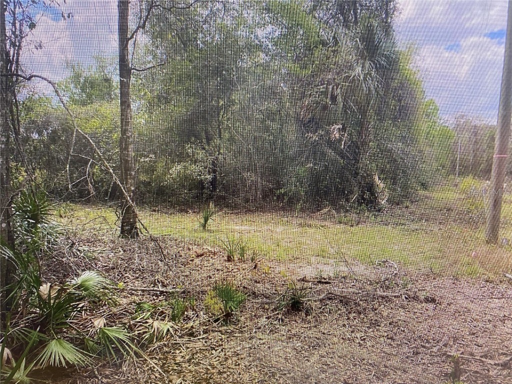 000000 NE 73rd Terrace NE Citra FL 32113 OM655820 image1