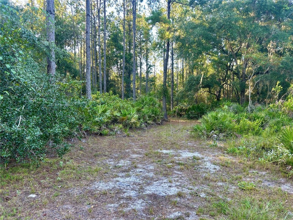 000000 SE 225th Street Hawthorne FL 32640 GC534027 image1