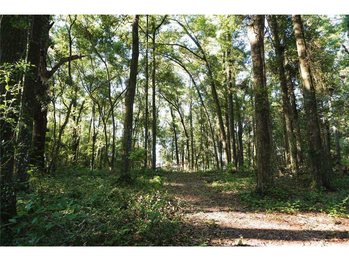 000000000 Nw 175th Place High Springs FL 32643 O6171680 image1