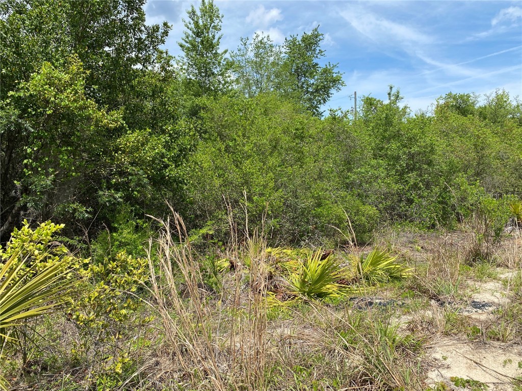 0001 73rd Terrace NE Citra FL 32113 OM660368 image1