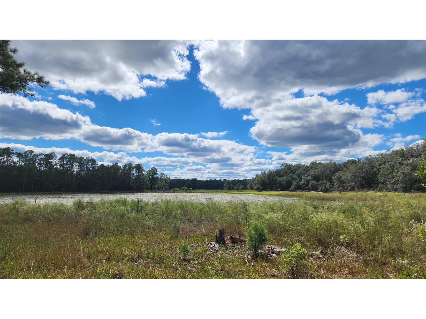 001 Viola Drive Hawthorne FL 32640 - LITTLE LAKE GREEN SILLS GC508326 image1