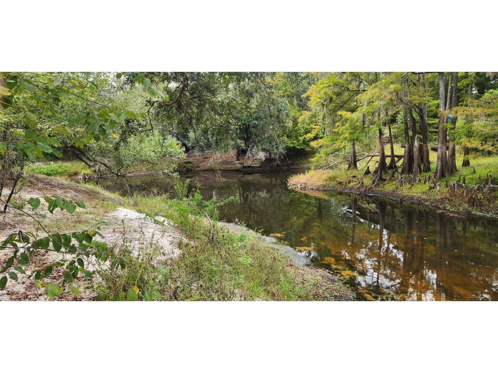 0012 Marchmont Circle Dade City FL 33523 - WITHLACOOCHEE RIVER TB8426590 image1