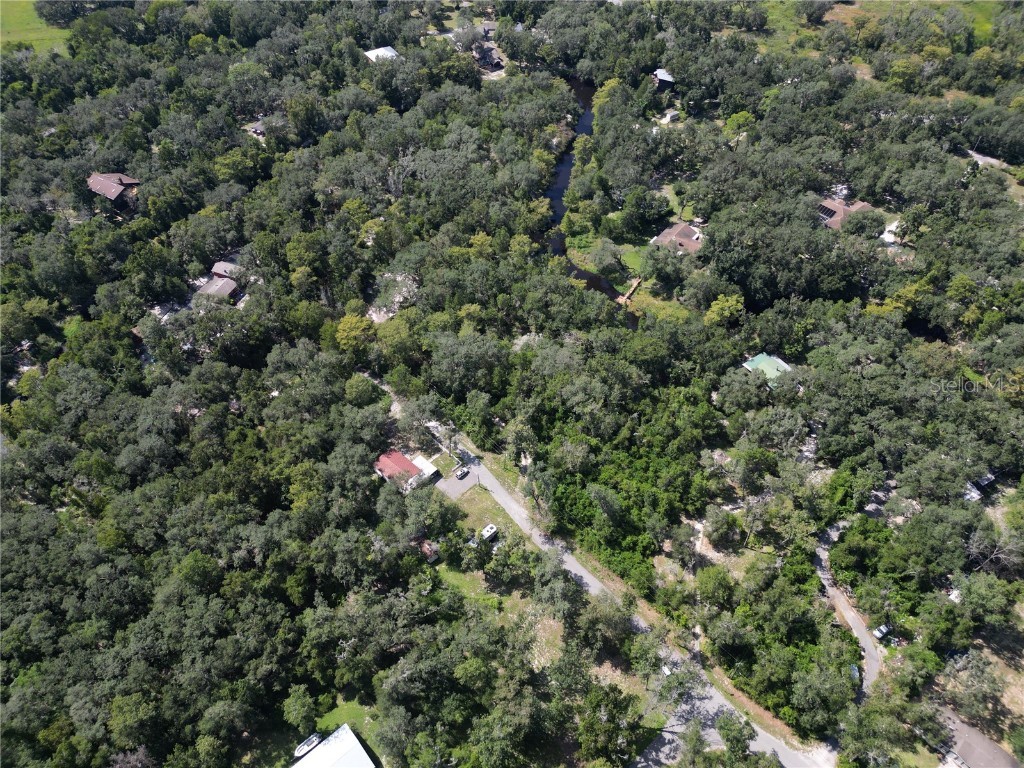 0012 Marchmont Circle Dade City FL 33523 - WITHLACOOCHEE RIVER TB8426590 image10