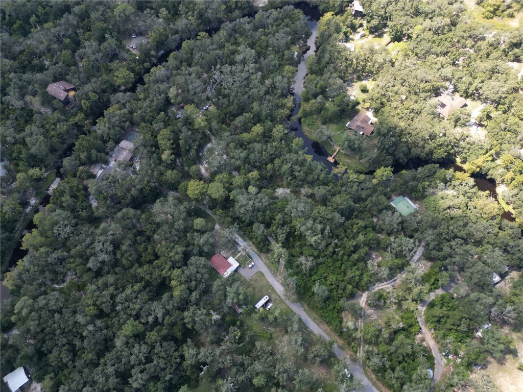 0012 Marchmont Circle Dade City FL 33523 - WITHLACOOCHEE RIVER TB8426590 image16