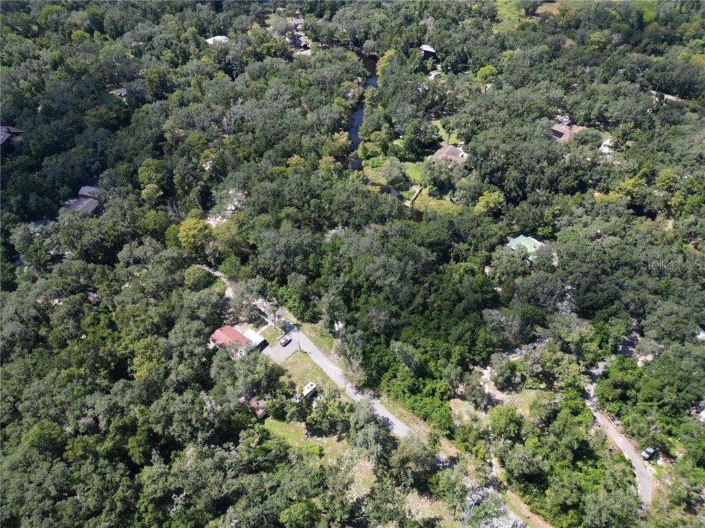 0012 Marchmont Circle Dade City FL 33523 - WITHLACOOCHEE RIVER TB8426590 image17