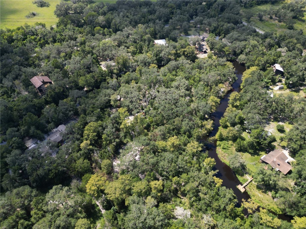 0012 Marchmont Circle Dade City FL 33523 - WITHLACOOCHEE RIVER TB8426590 image18