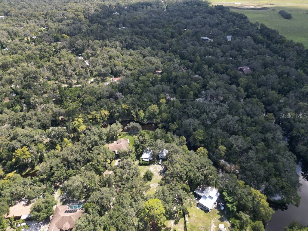 0012 Marchmont Circle Dade City FL 33523 - WITHLACOOCHEE RIVER TB8426590 image19