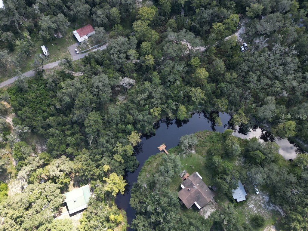 0012 Marchmont Circle Dade City FL 33523 - WITHLACOOCHEE RIVER TB8426590 image21