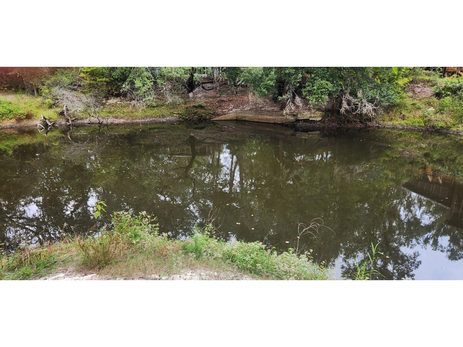 0012 Marchmont Circle Dade City FL 33523 - WITHLACOOCHEE RIVER TB8426590 image22