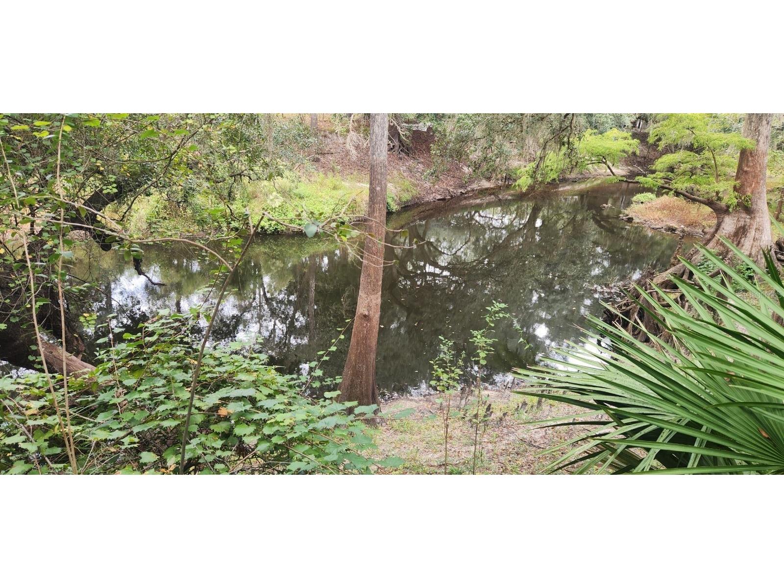 0012 Marchmont Circle Dade City FL 33523 - WITHLACOOCHEE RIVER TB8426590 image23