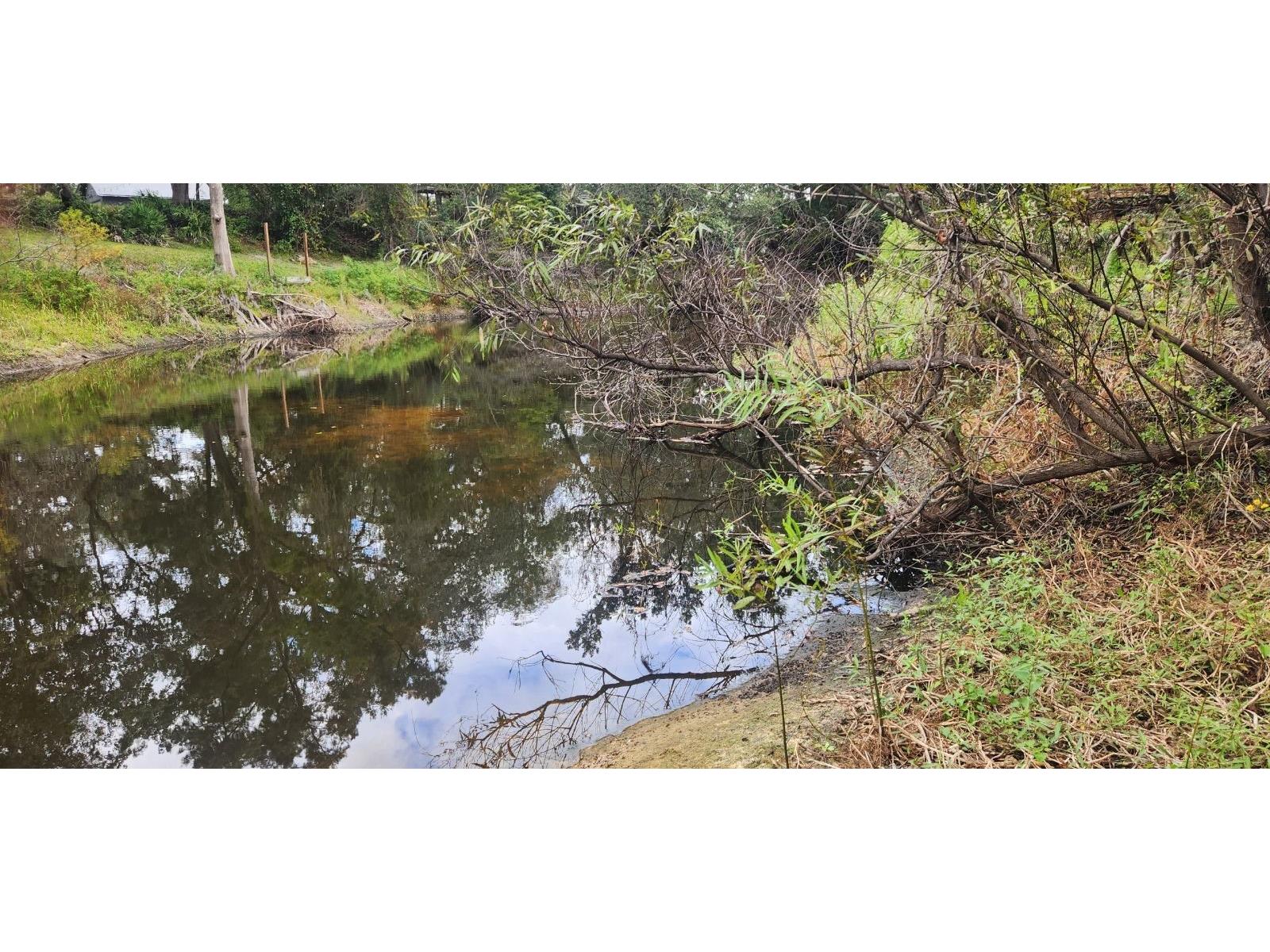 0012 Marchmont Circle Dade City FL 33523 - WITHLACOOCHEE RIVER TB8426590 image25