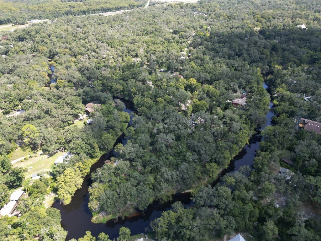 0012 Marchmont Circle Dade City FL 33523 - WITHLACOOCHEE RIVER TB8426590 image4