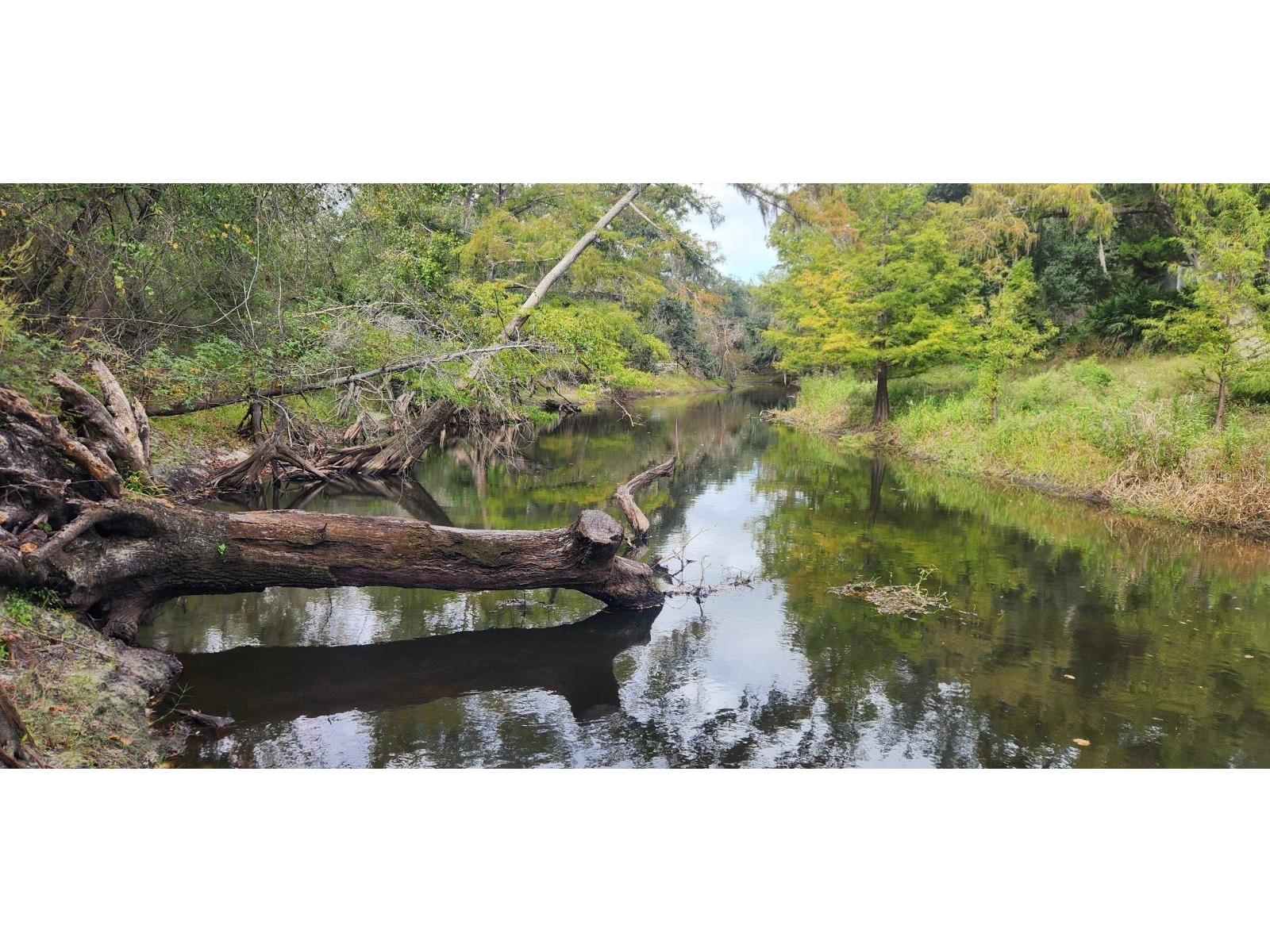 0012 Marchmont Circle Dade City FL 33523 - WITHLACOOCHEE RIVER TB8426590 image5