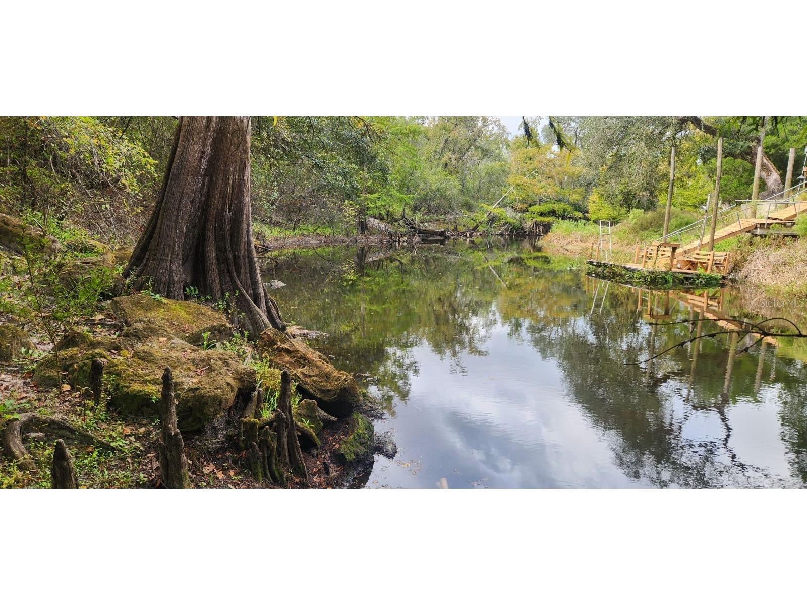 0012 Marchmont Circle Dade City FL 33523 - WITHLACOOCHEE RIVER TB8426590 image6