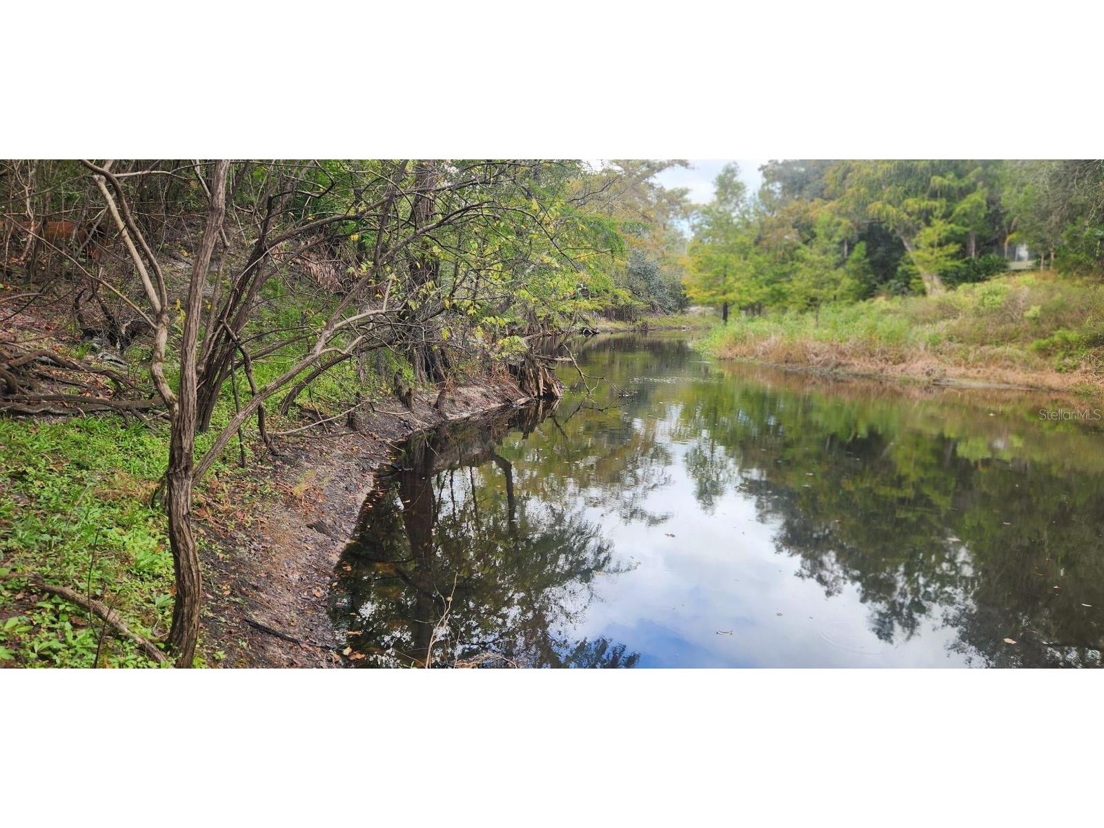 0012 Marchmont Circle Dade City FL 33523 - WITHLACOOCHEE RIVER TB8426590 image7